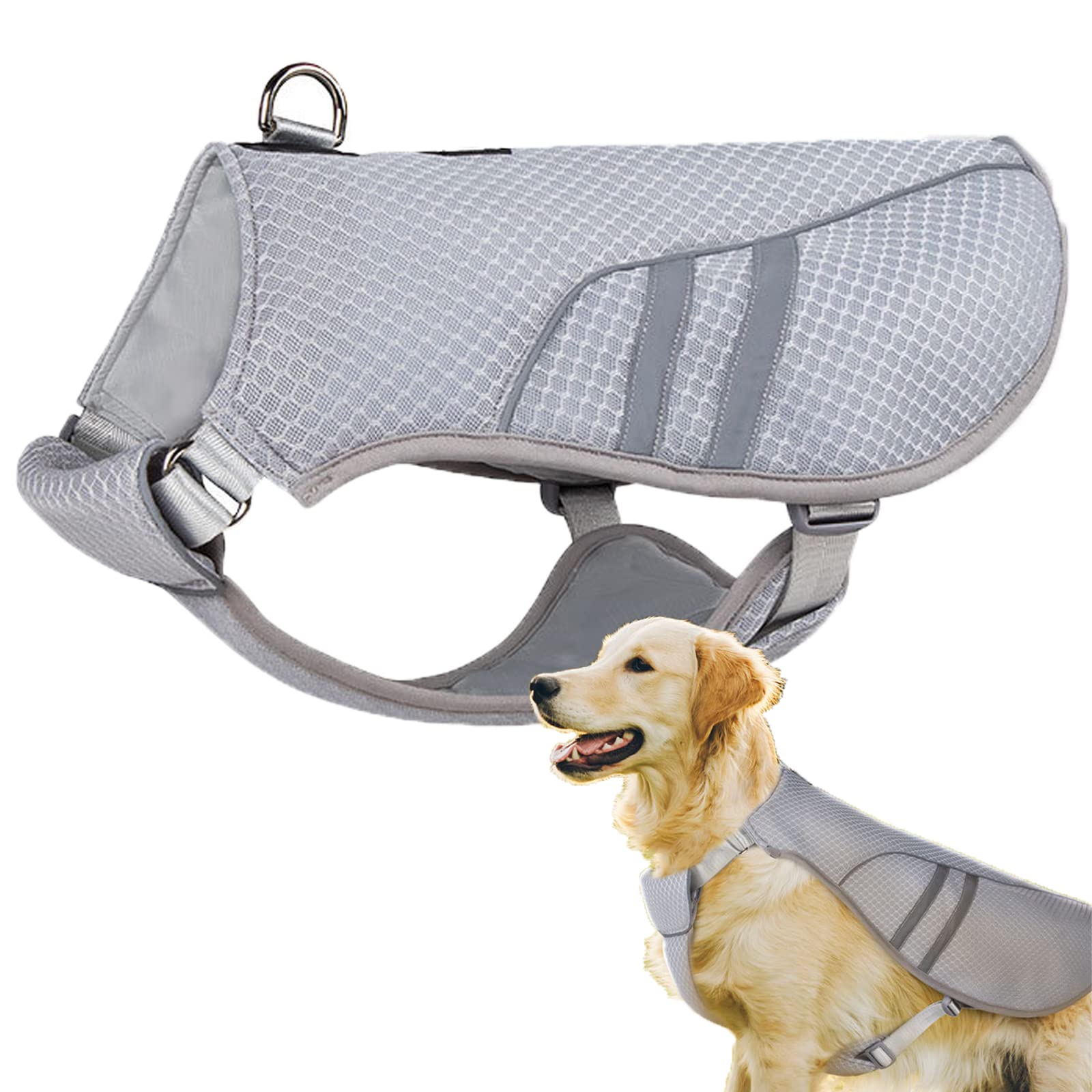 Cooling vest for large dog, chaleco refrigerante para perro grande, gilet rafraîchissant pour grand chien, kühlweste für große hunde, 大型犬用冷却ベスト