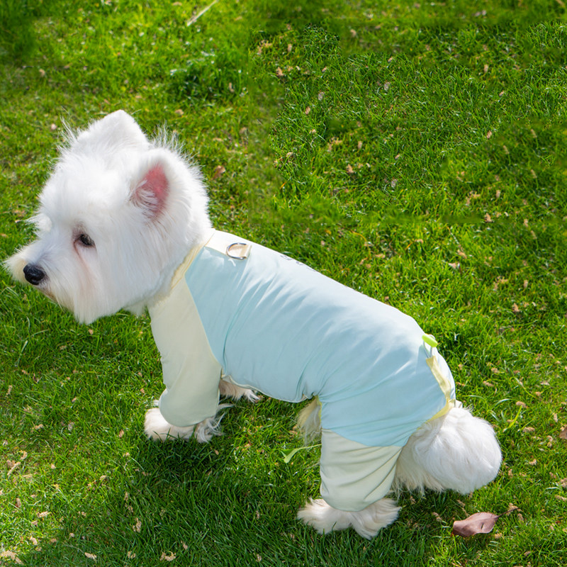 Dog Cooling Shirt UPF 50+ Sun Protection - Breathable Ice Silk Jumpsuit for Small & Medium Dogs, Summer Dustproof Pet Clothing - Image 3