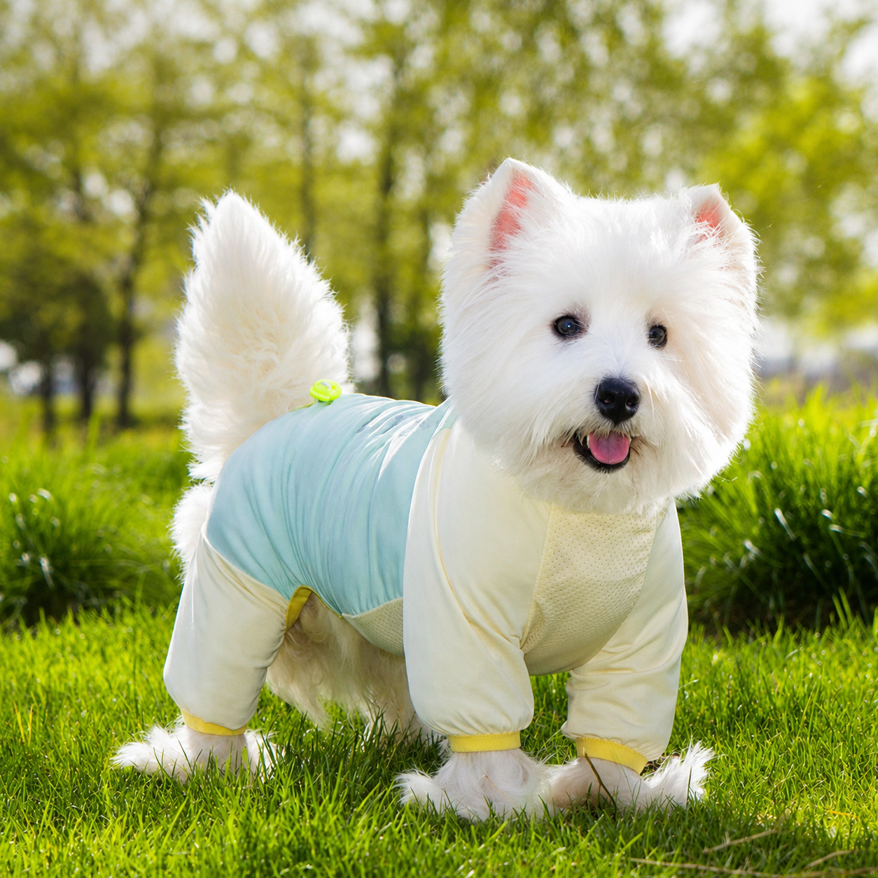 Dog Cooling Shirt UPF 50+ Sun Protection - Breathable Ice Silk Jumpsuit for Small & Medium Dogs, Summer Dustproof Pet Clothing - Image 5